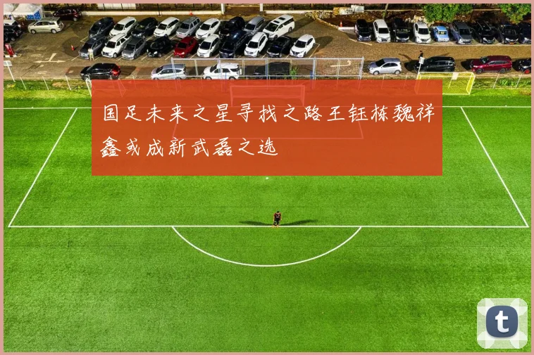 国足未来之星寻找之路王钰栋魏祥鑫或成新武磊之选