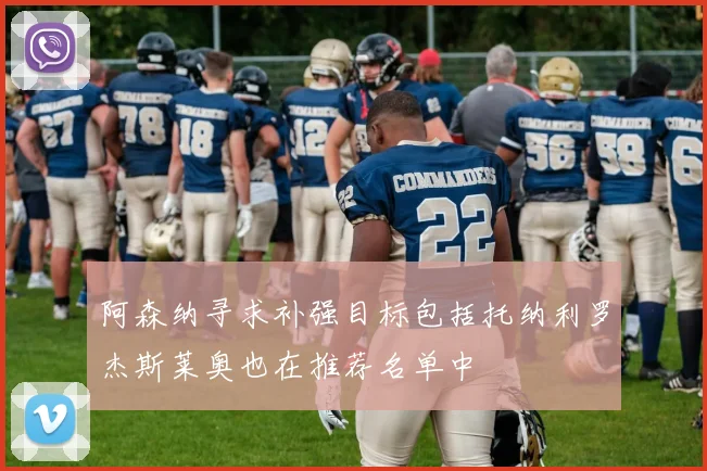 阿森纳寻求补强目标包括托纳利罗杰斯莱奥也在推荐名单中