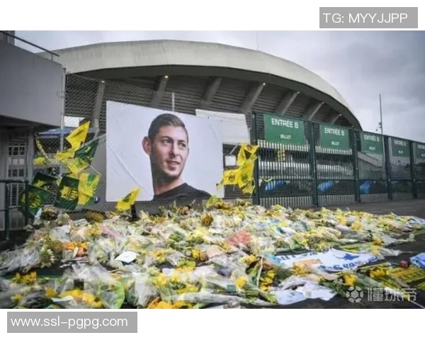 卡迪夫城就萨拉坠机事件向南特索赔12亿欧元提起诉讼